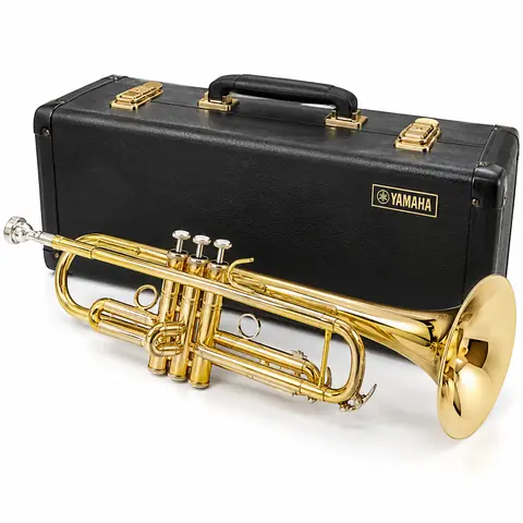 楽器・オーディオの買取例 7